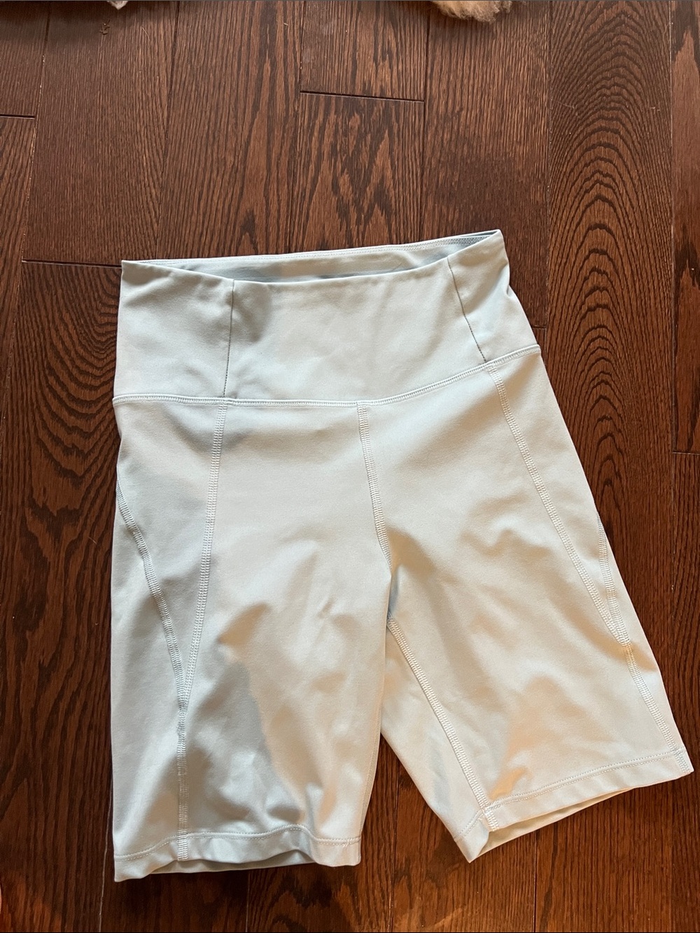 Free with purchase - baby blue girlfriend collective bike shorts